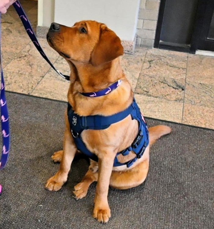 Gus 03
