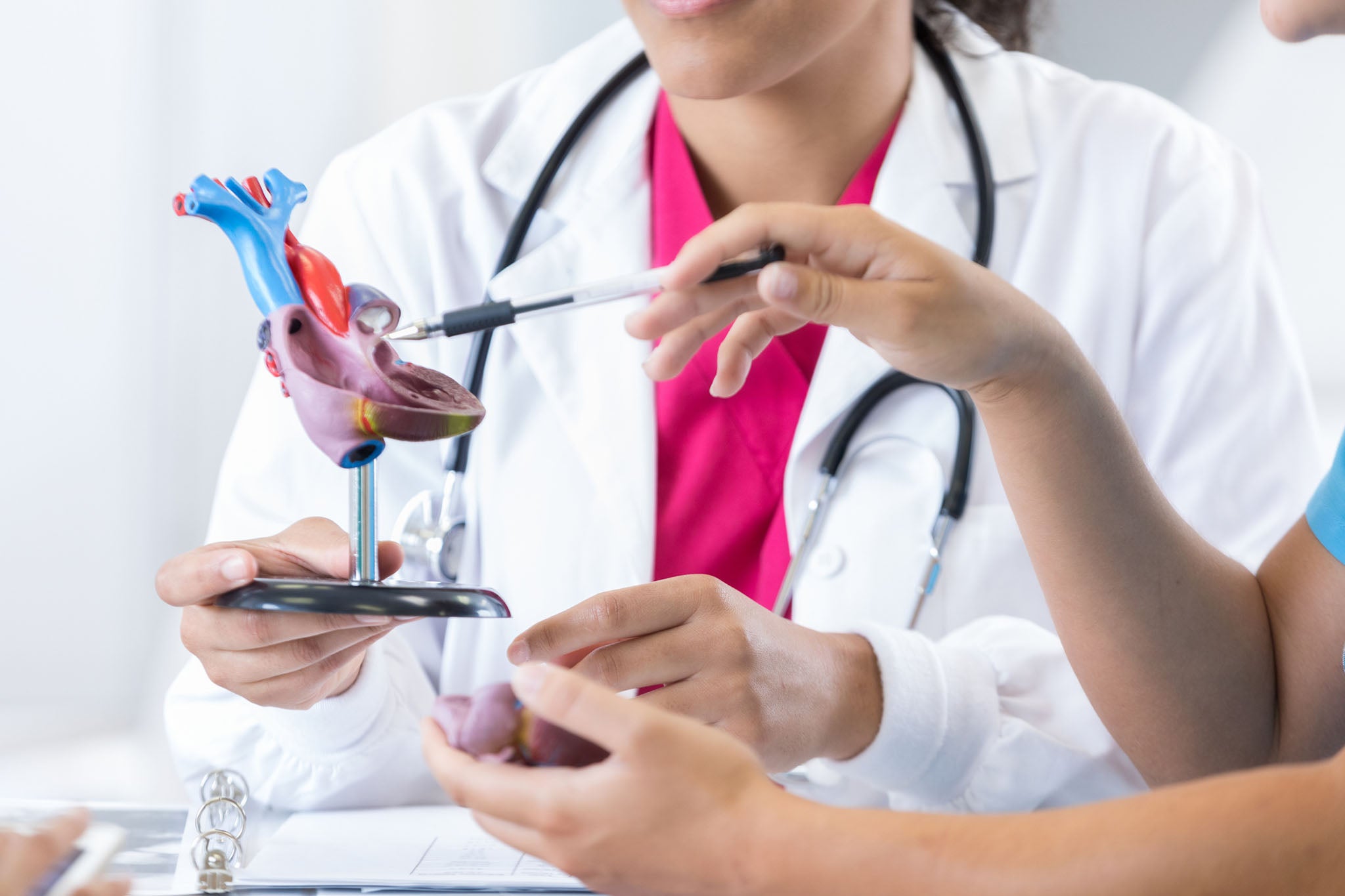 doctors looking at small model of a heart